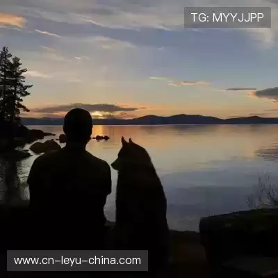 叶习殉